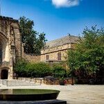 The Progressive Racism of the Ivy League
