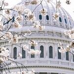 Joe Manchin: Racist or Profile in Courage