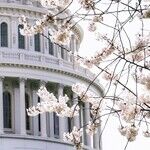 Why the Left Can't Let Go of Jan. 6