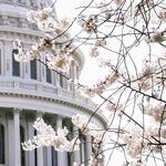 Virginia Secedes From Biden's Party