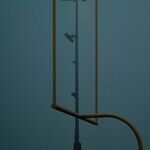 The Goal Posts Keep Shifting