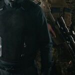 Immigration Fairy Tales