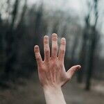 The Middle Finger Majority