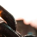 Rethink the Supply Chain