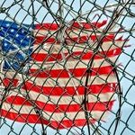 The Shutdown Necessarily Continues