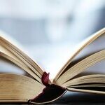 Conservative Institutions Are Failing Jeremiah 29 Conservatives