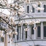 A Moment for Jim DeMint