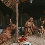 Christmas Perspective