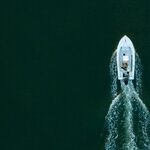 Feeding the Leviathan