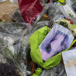 Hillary Clinton's Sweet Talk on Terror