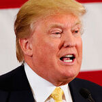 The Plot Against Trump