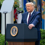 Judge Barrett and Your Health Care