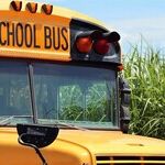 Justices Ask Whether Left's Wokeness Should Be the Only Religion Allowed in Public Schools