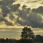 Power to the People -- Even if It Comes From Coal