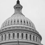 Dems Trash US Constitution
