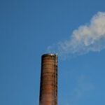 The Zero Carbon Flimflam