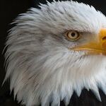 Time for the GOP to Use the Power They Were Given