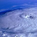 Hurricane Harvey's Lesson in Humanity