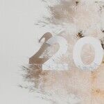 Take a Stand in 2020