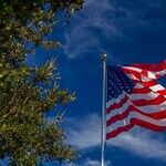 Trump Isn't Dangerous; This Administration Is