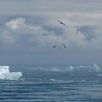Resist the 'Climate Change' Power Grab