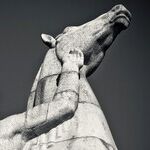 If You Fire A Fascist, You Are A Fascist