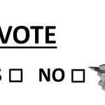 Never Trump. Never Biden. The Progressive Case for Voting Third Party or Boycotting the Election