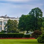 Deluge After the Donald?