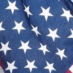 How the Democrats Messed Up and What They Can Do Now