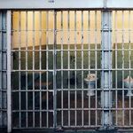 Hail to the Jailbird President