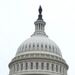 Job-Killing Red Tape for Thee, Not for Me