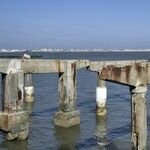 For Disaster Recovery, the Best Knowledge Is Local Knowledge