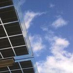 Politicians Can't Get Enough Energy Cronyism