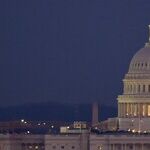 Taming the Tyranny of the Agency