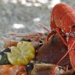 The Tariff Man and Lobster King Could Learn From Confucius
