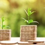 New Research Confirms Wealth Tax's Deleterious Effects