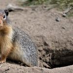 It's Groundhog Day All Over Again in Washington