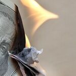 Inflating the Costs of Government's Fiscal Irresponsibility