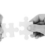 Are You Down on the American Economic System? Think About Cooperation.