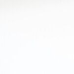 How Should Republicans Move Forward?