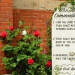 What Happened to American Ideals?