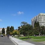 A Berkeley Professor Who Understands His Job