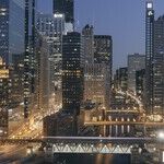 Urban Violence Begins in Broken Homes