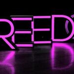 Young Democrats Lose Interest in Freedom