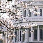 Democrats Spend Big, and We Pay, for Their Socialist Dream