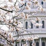 T.W. Shannon, a Leader We Need in Washington