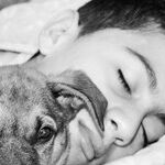 Political Unrest and a Boy Allergic to His Pet