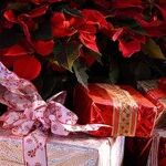 Homework During Holidays and Excessive Gift-Giving