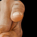 Fat Shaming and Showing Privates