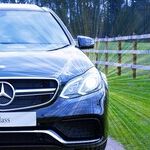 The Front Seat and Bickering Siblings